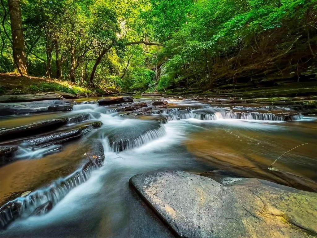 0 Trout Line Court Talking Rock, GA 30175 - Photo 49 of 58