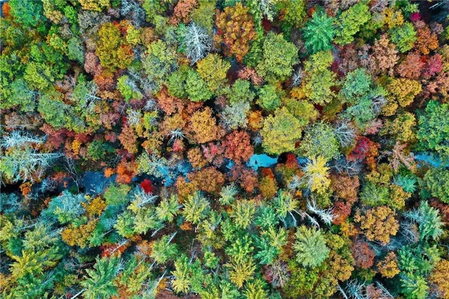 $45,000 | 0 Trout Line Court, Talking Rock, GA 30175