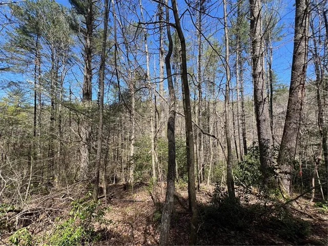 $45,000 | 0 Trout Line Court, Talking Rock, GA 30175