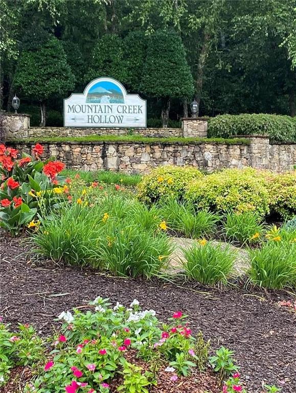 0 Trout Line Court Talking Rock, GA 30175 - Photo 54 of 58