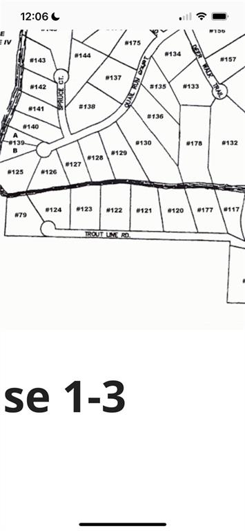 0 Trout Line Court Talking Rock, GA 30175 - Photo 57 of 58