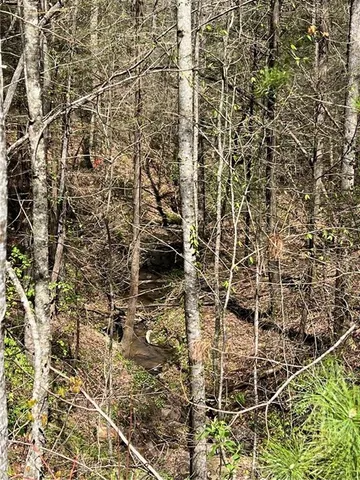 $45,000 | 0 Trout Line Court, Talking Rock, GA 30175
