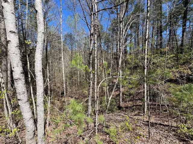 $45,000 | 0 Trout Line Court, Talking Rock, GA 30175