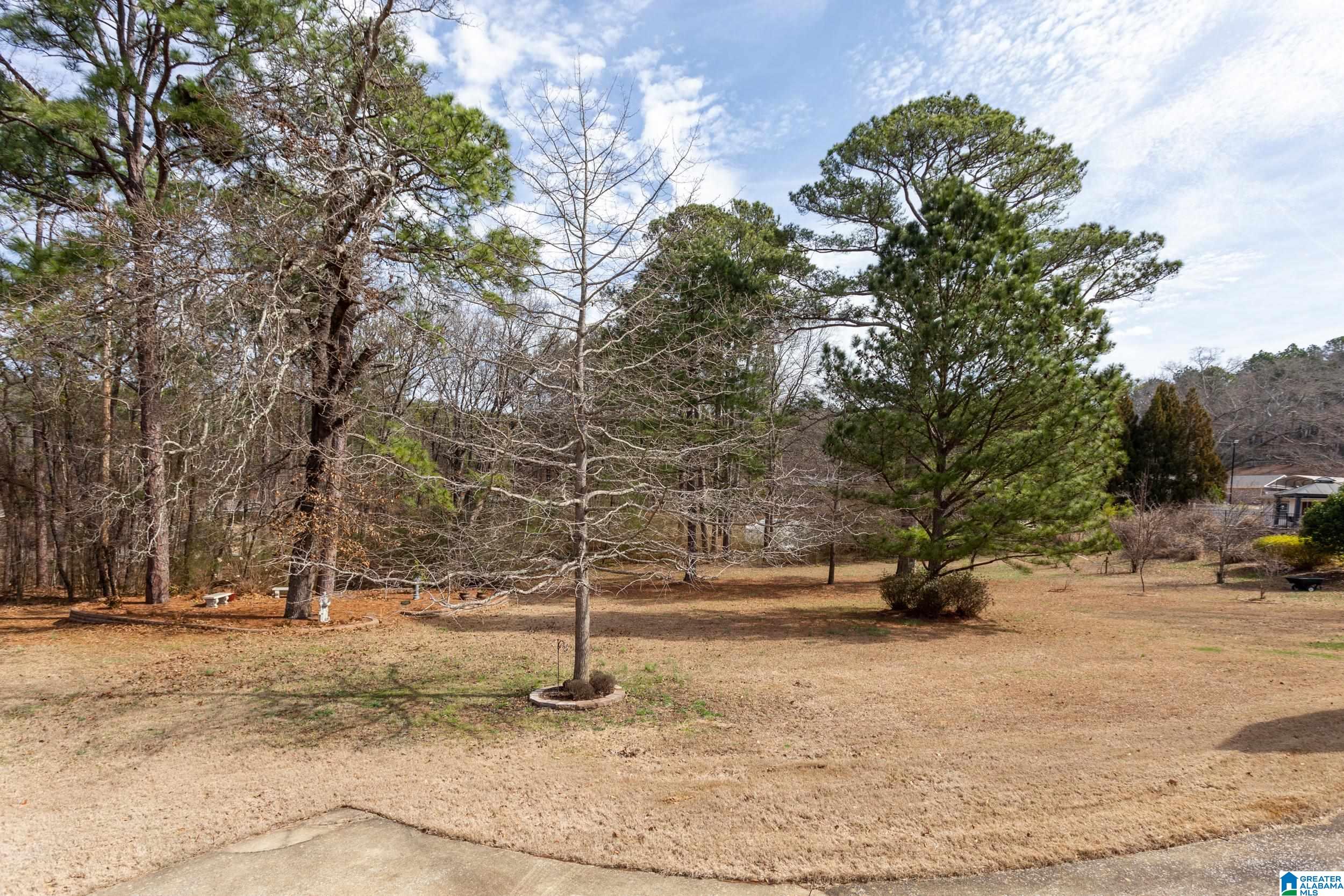 294 Belair Road Anniston, AL 36205 - Photo 43 of 45