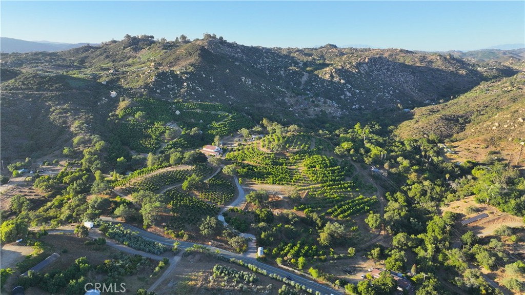38149 De Luz Road Fallbrook, CA 92028 - Photo 14 of 36 a view of a forest
