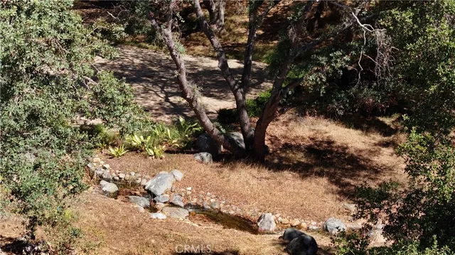 a view of a yard with trees