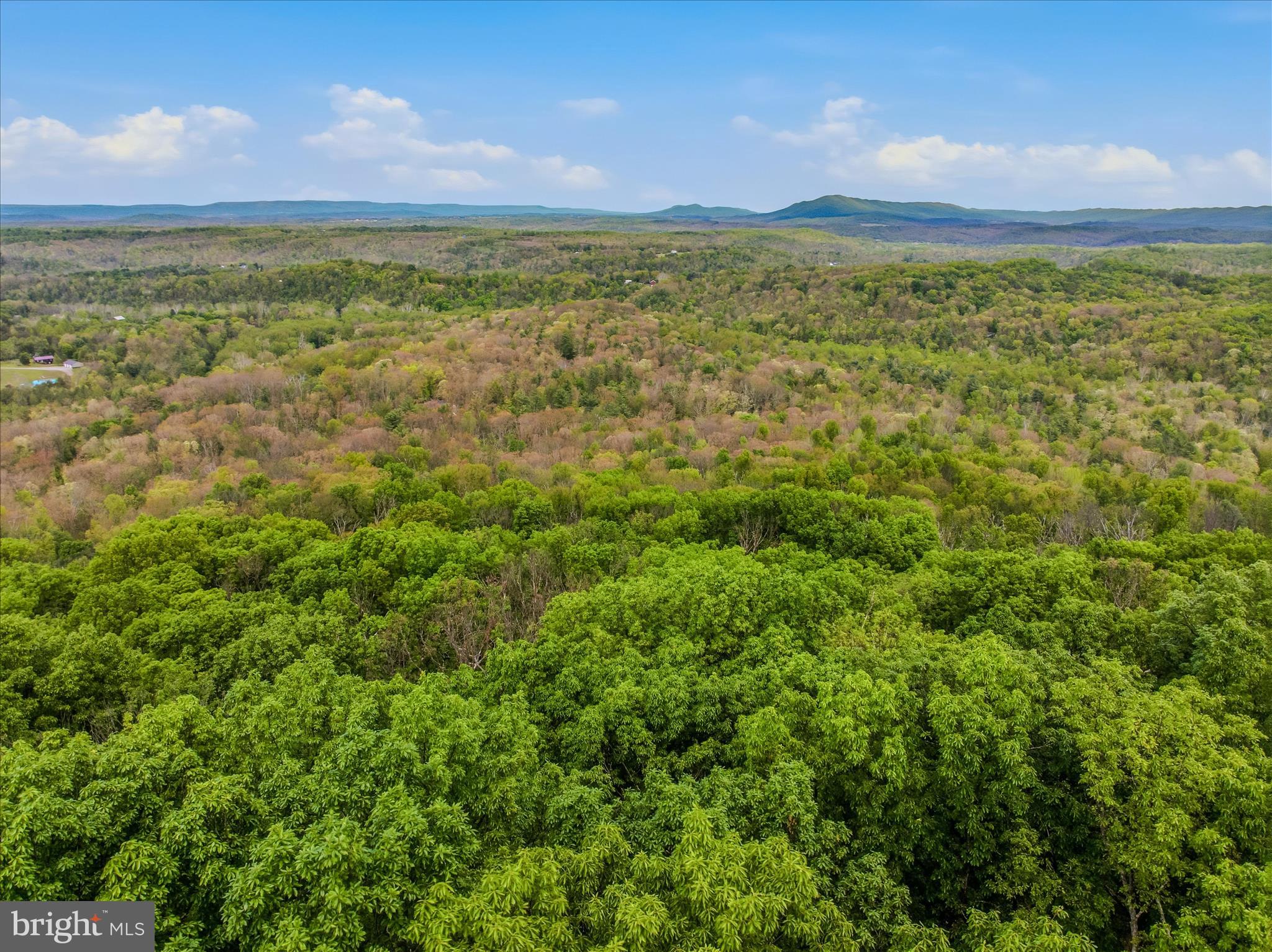 98 Ore Trail Berkeley Springs, WV 25411 - Photo 45 of 46 a view of a field with an ocean
