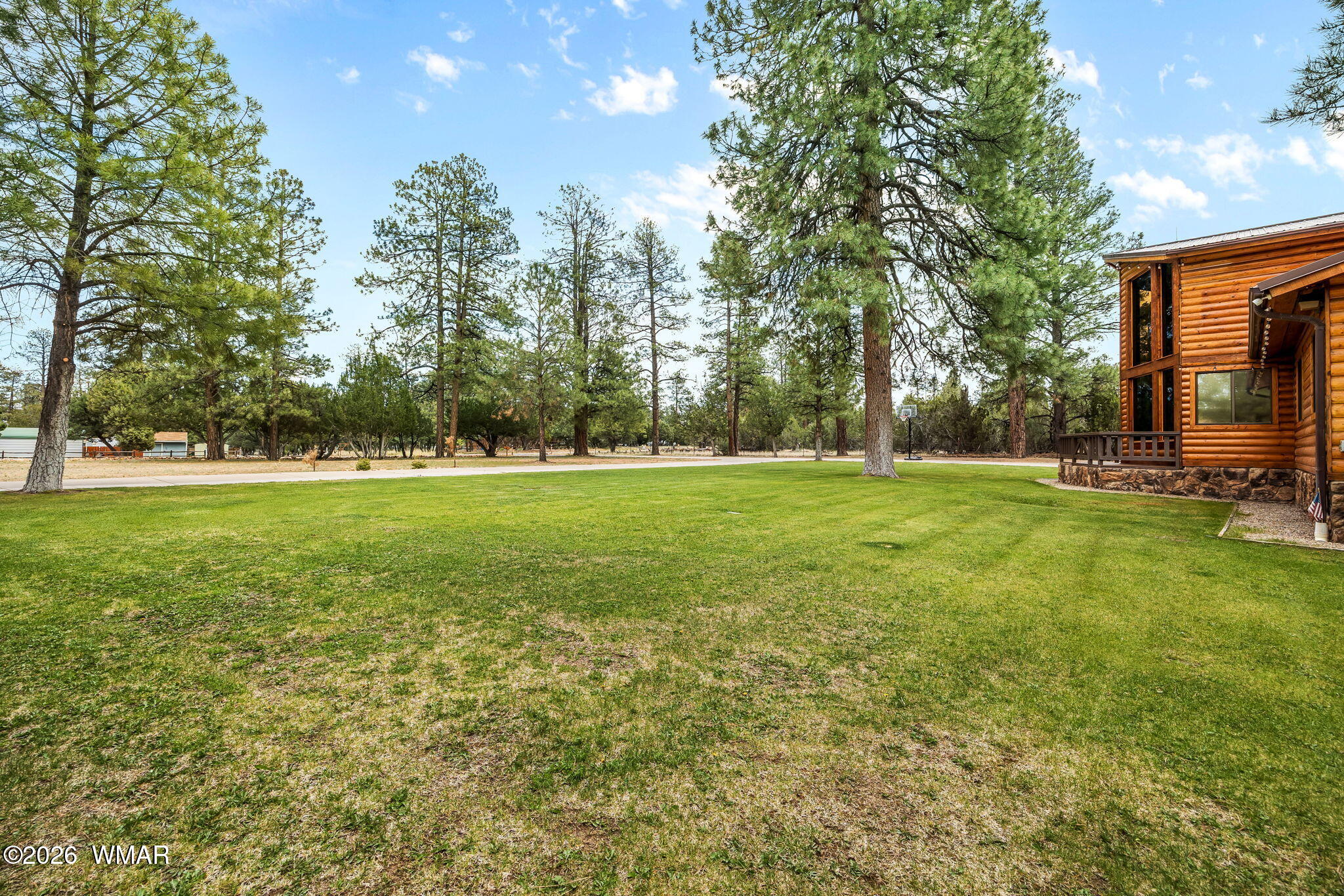 2922 Pine Rim Road Overgaard, AZ 85933 - Photo 5 of 58 a view of a green field with trees in the background