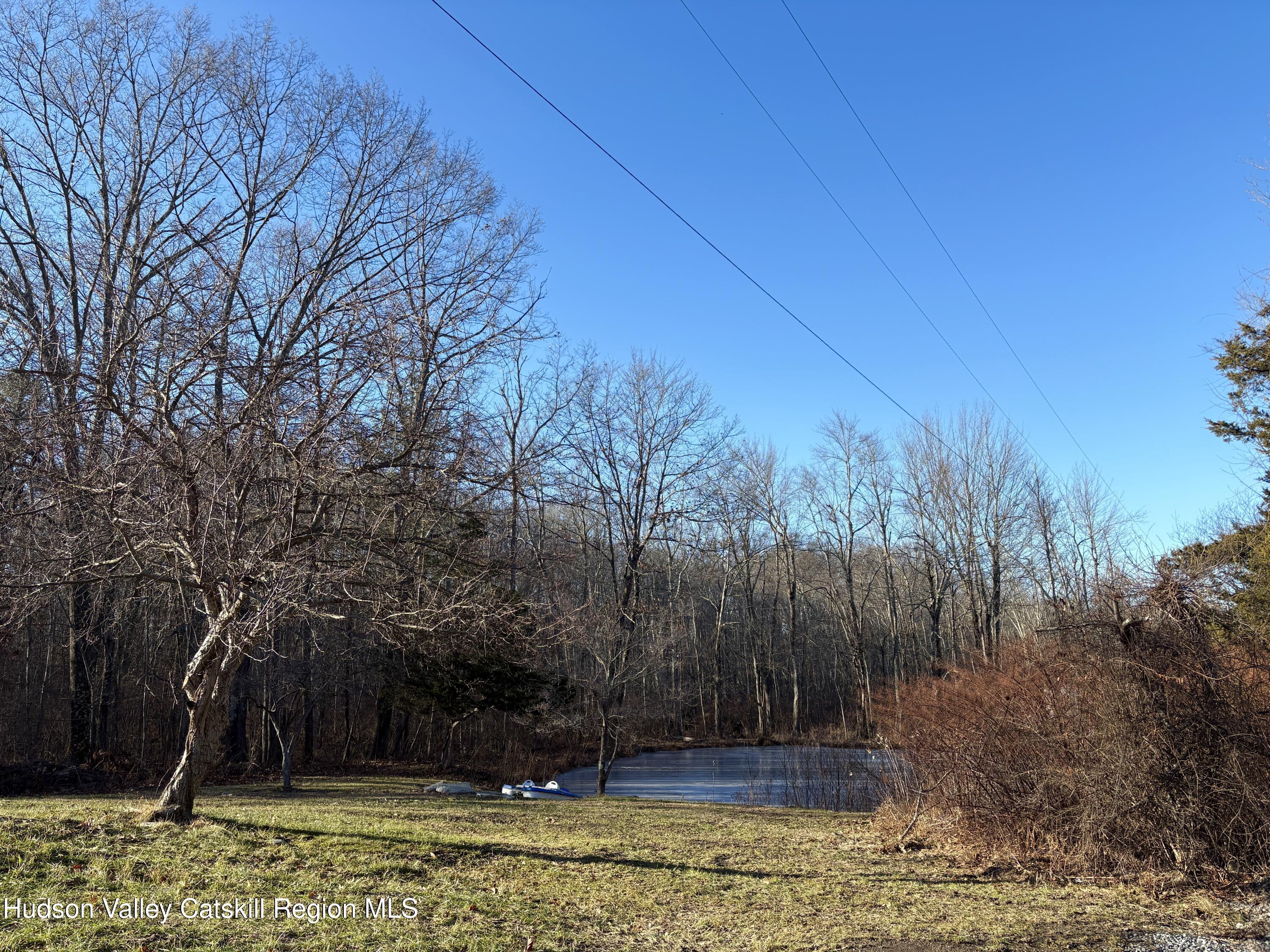 51 Hay Press Road Craryville, NY 12521 - Photo 27 of 27 pond2