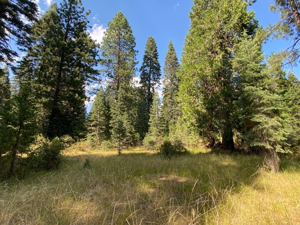 3-e-48 Red Fir Road McCloud, CA 96057 - Photo 1 of 15 Gallery Image 1