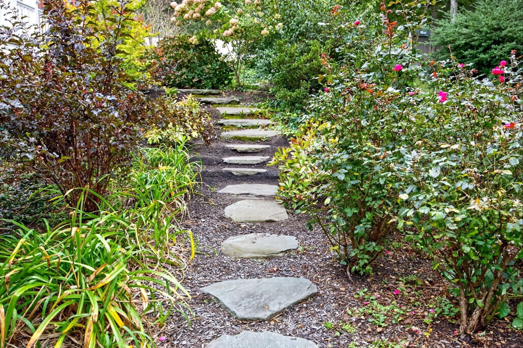 288 Millstone Road Brewster, MA 02631 - Photo 19 of 41 Gallery Image 19