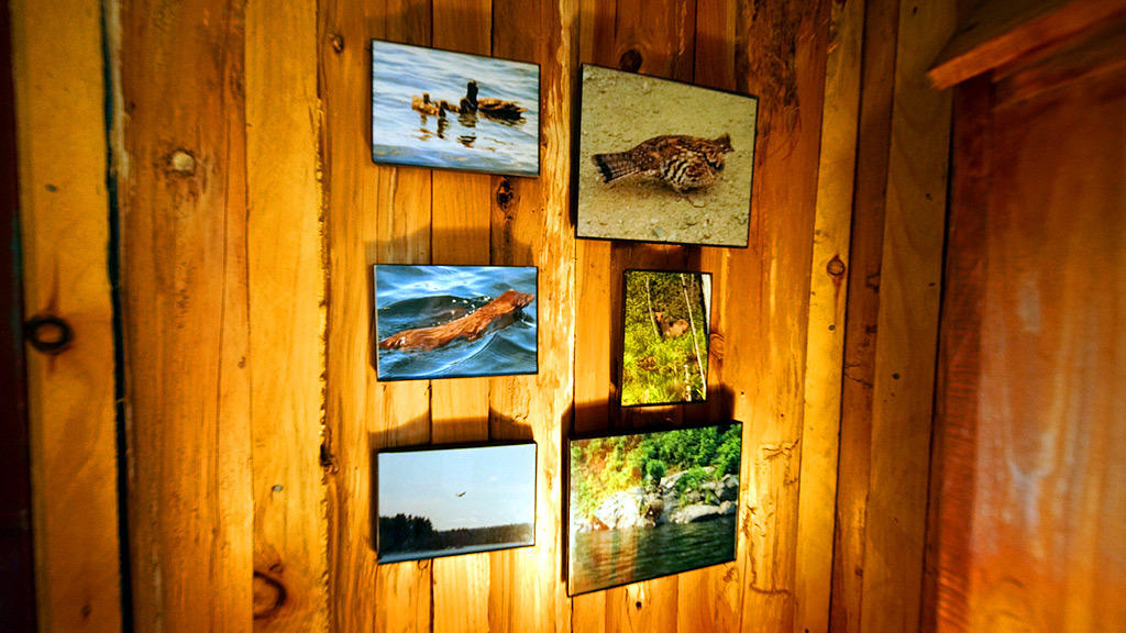 Lot 1-2 Tracy Road Amity, ME 04471 - Photo 11 of 35 amity-tracy-rd-walker-12