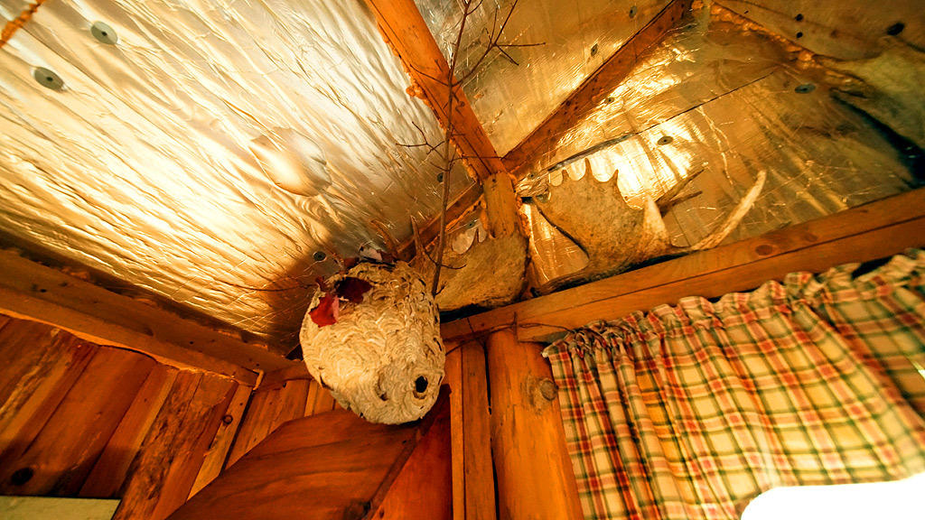 Lot 1-2 Tracy Road Amity, ME 04471 - Photo 14 of 35 amity-tracy-rd-walker-15