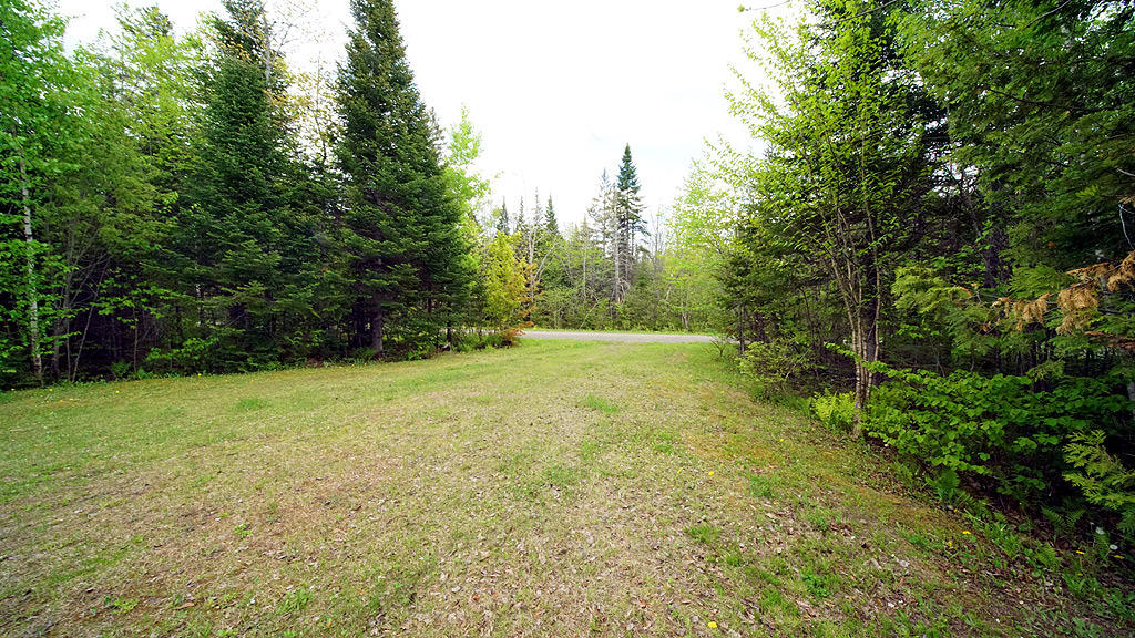 Lot 1-2 Tracy Road Amity, ME 04471 - Photo 3 of 35 amity-tracy-rd-walker-01
