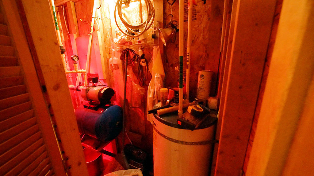 Lot 1-2 Tracy Road Amity, ME 04471 - Photo 31 of 35 amity-tracy-rd-walker-33