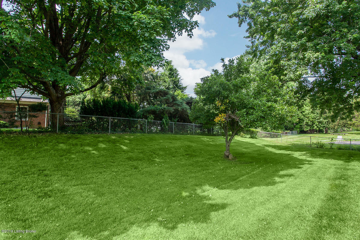 3604 River Bluff Road Prospect, KY 40059 - Photo 29 of 31 Back Yard