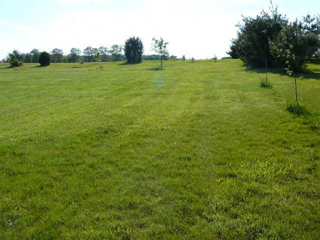 2979 Ross Road Sunbury, OH 43074 - Photo 17 of 18 Gallery Image 17