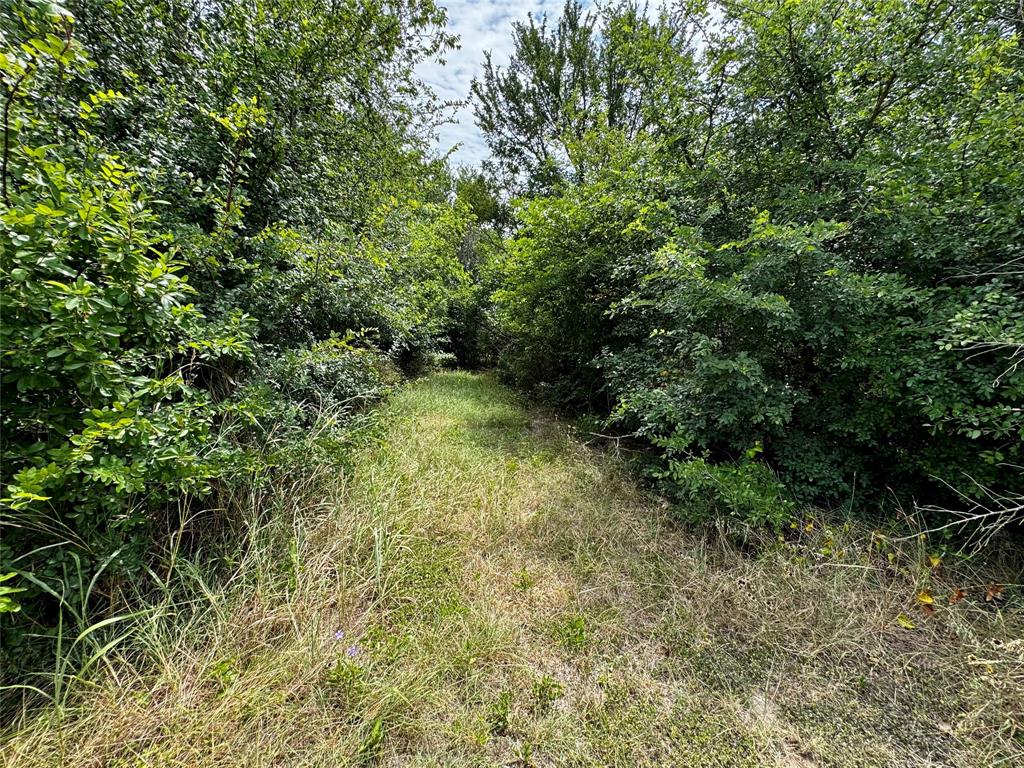 1438 Hurst Road Axtell, TX 76624 - Photo 6 of 19