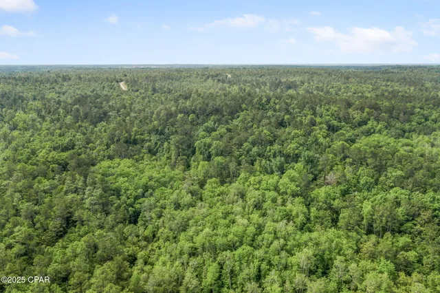 $425,000 | 3100 Alhambra Drive, Chipley, FL 32428