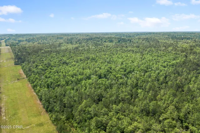 $425,000 | 3100 Alhambra Drive, Chipley, FL 32428