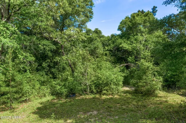 $425,000 | 3100 Alhambra Drive, Chipley, FL 32428