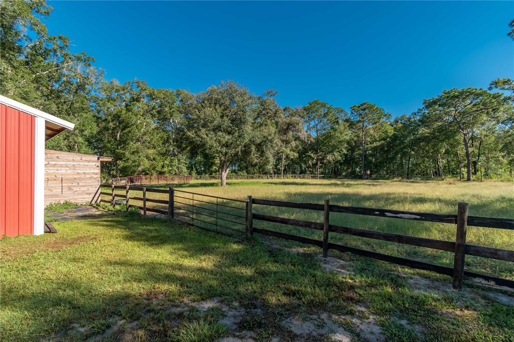 8081 Southwest 41st Place Road Ocala, FL 34481 - Photo 36 of 50 a view of a bench in a garden