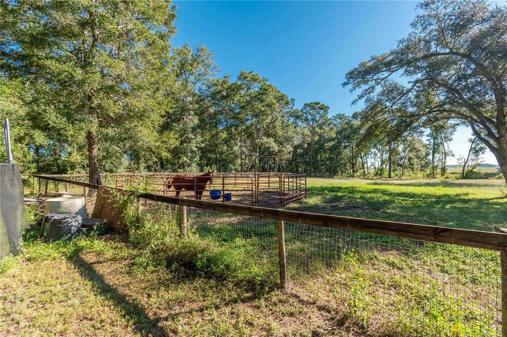 8081 Southwest 41st Place Road Ocala, FL 34481 - Photo 43 of 50 a view of a lake view