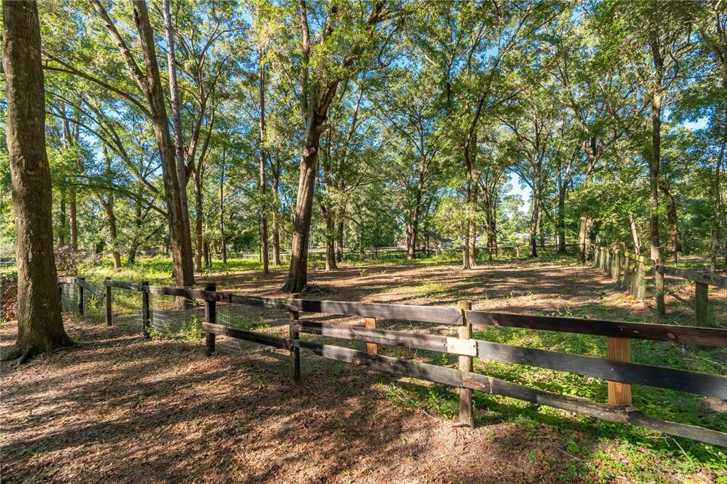 8081 Southwest 41st Place Road Ocala, FL 34481 - Photo 45 of 50 a view of a park with large trees