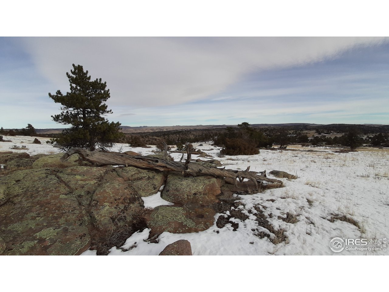 82 East County Road Livermore, CO 80536 - Photo 20 of 27 Gallery Image 20