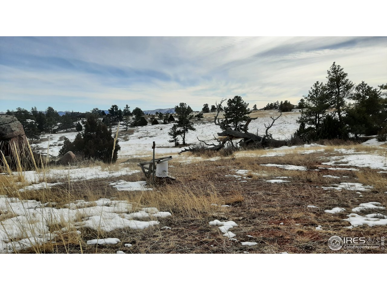 82 East County Road Livermore, CO 80536 - Photo 2 of 27 Gallery Image 2