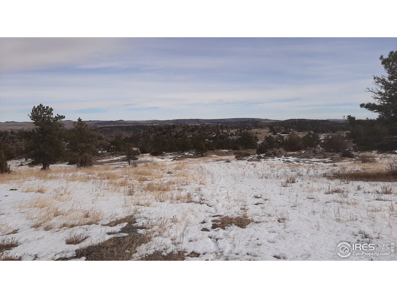 82 East County Road Livermore, CO 80536 - Photo 25 of 27 Gallery Image 25