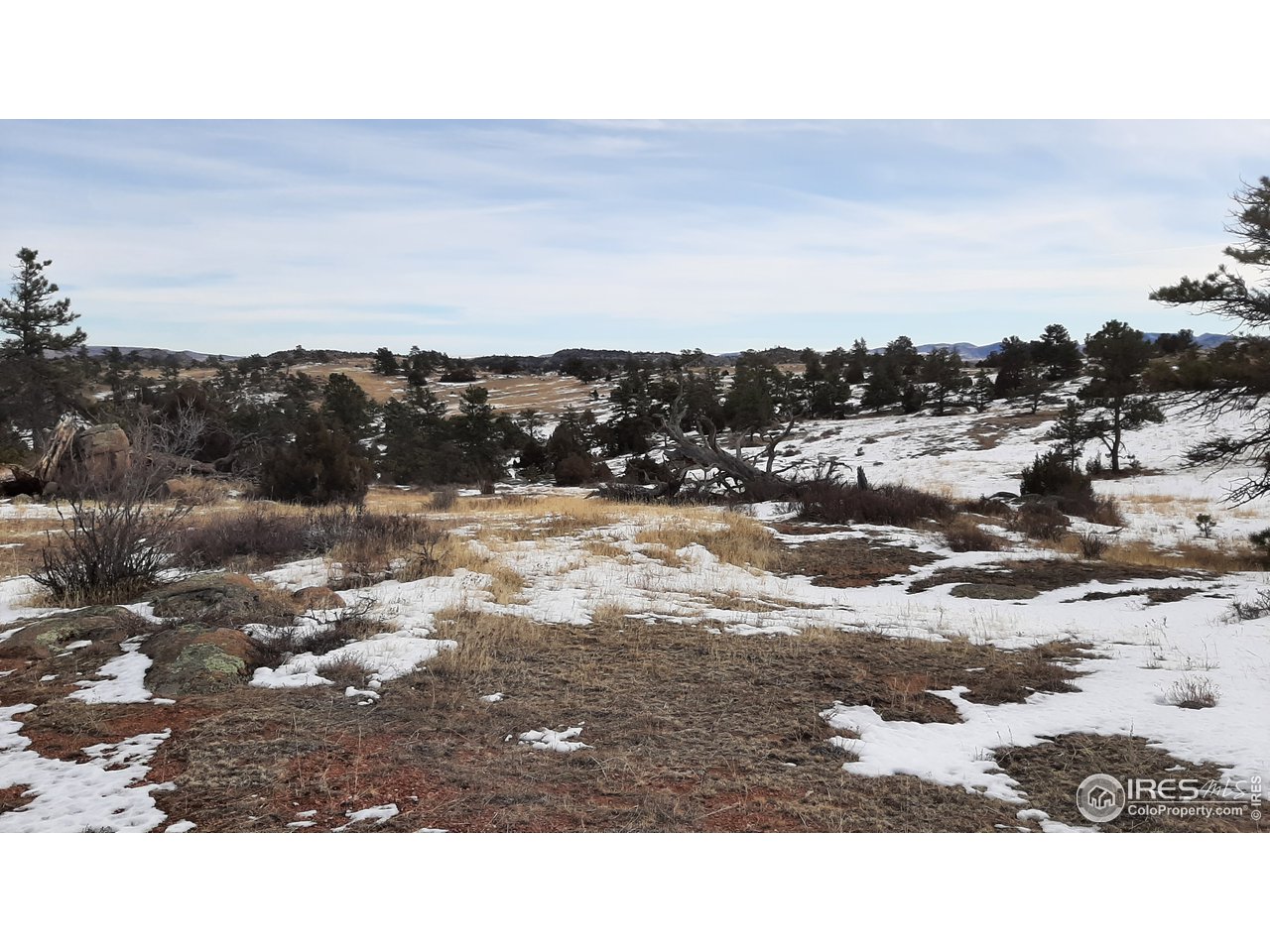 82 East County Road Livermore, CO 80536 - Photo 6 of 27 Gallery Image 6