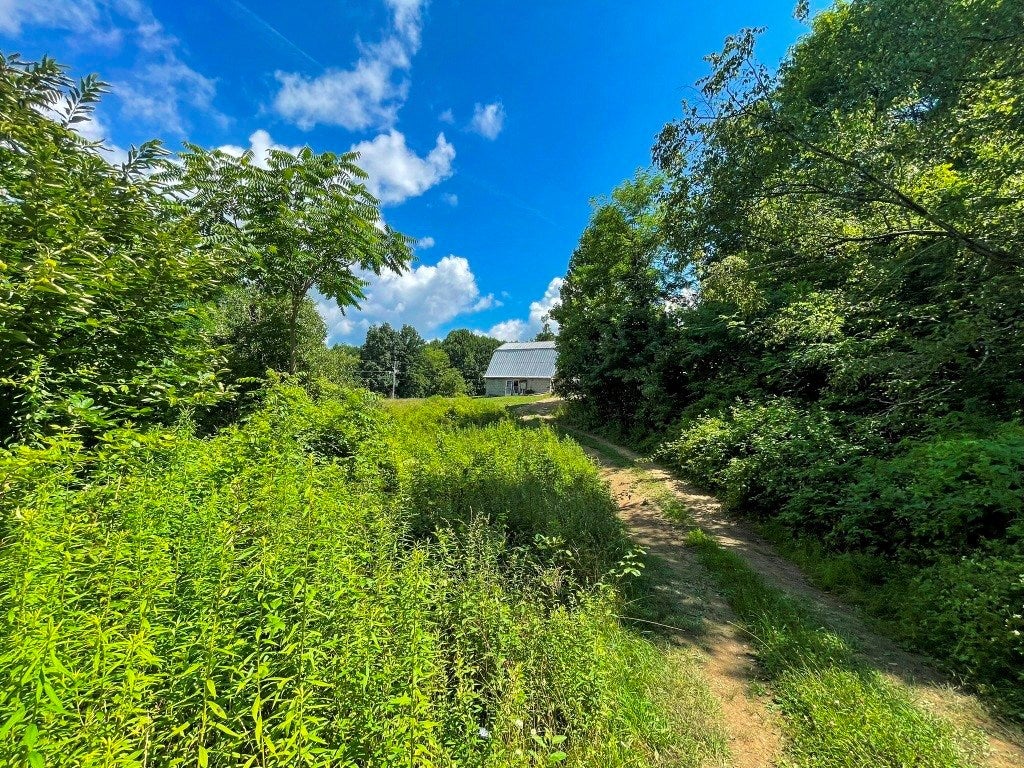 Tbd Big Ridge Road Independence, VA 24348 - Photo 4 of 29 Gallery Image 4