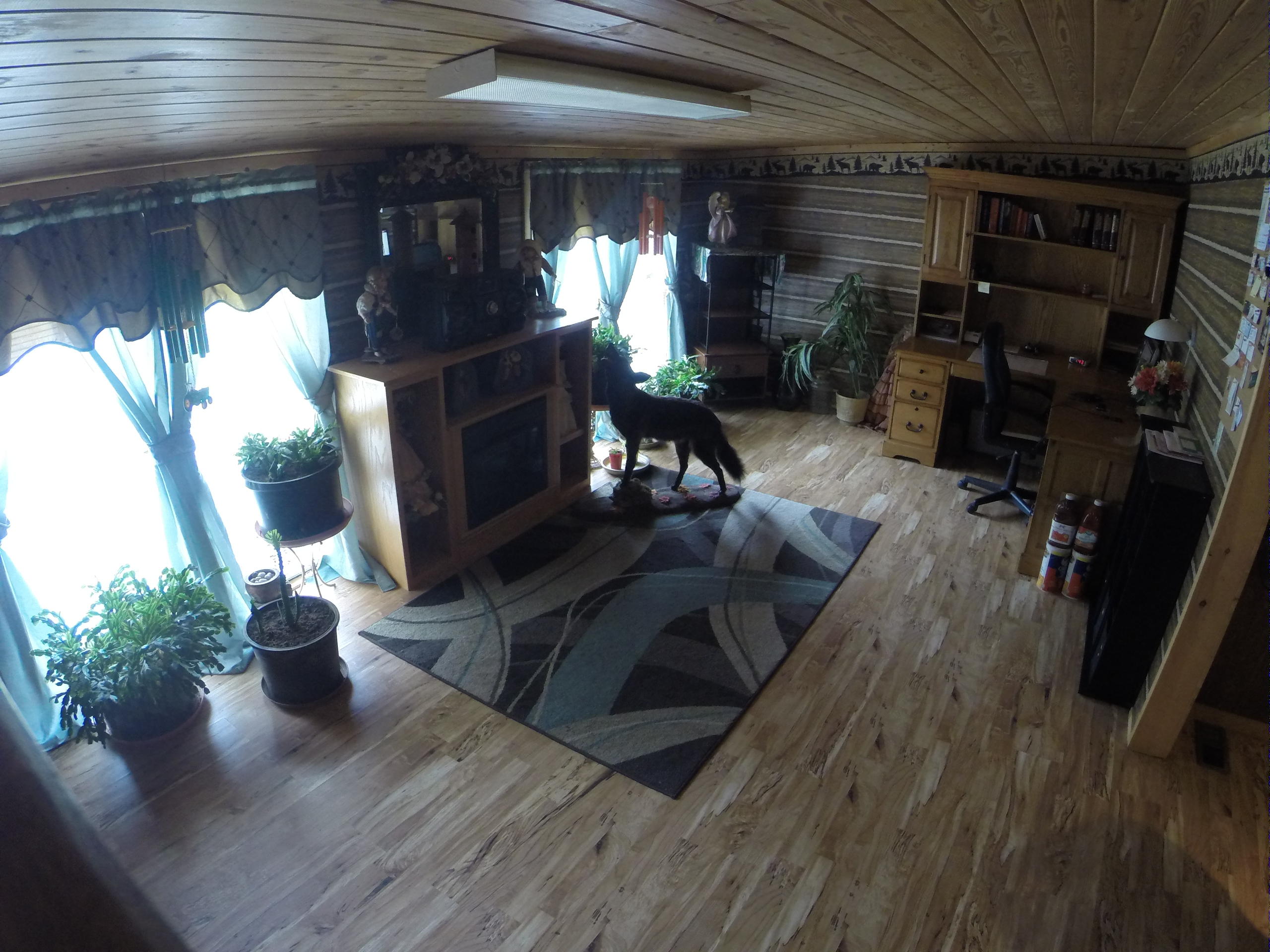 156 Little Gudger Road Madisonville, TN 37354 - Photo 30 of 40 GOPR0643