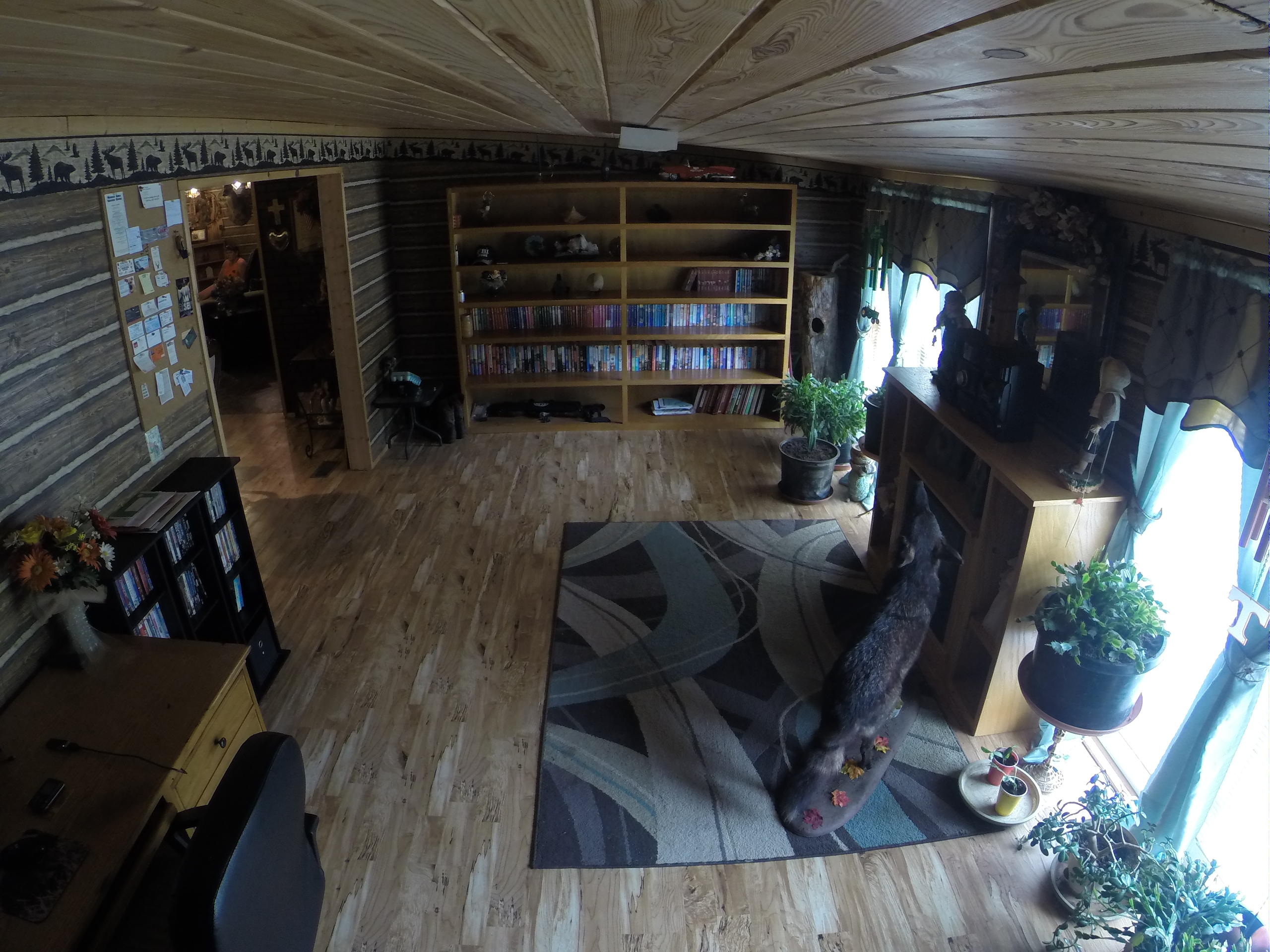 156 Little Gudger Road Madisonville, TN 37354 - Photo 31 of 40 GOPR0644