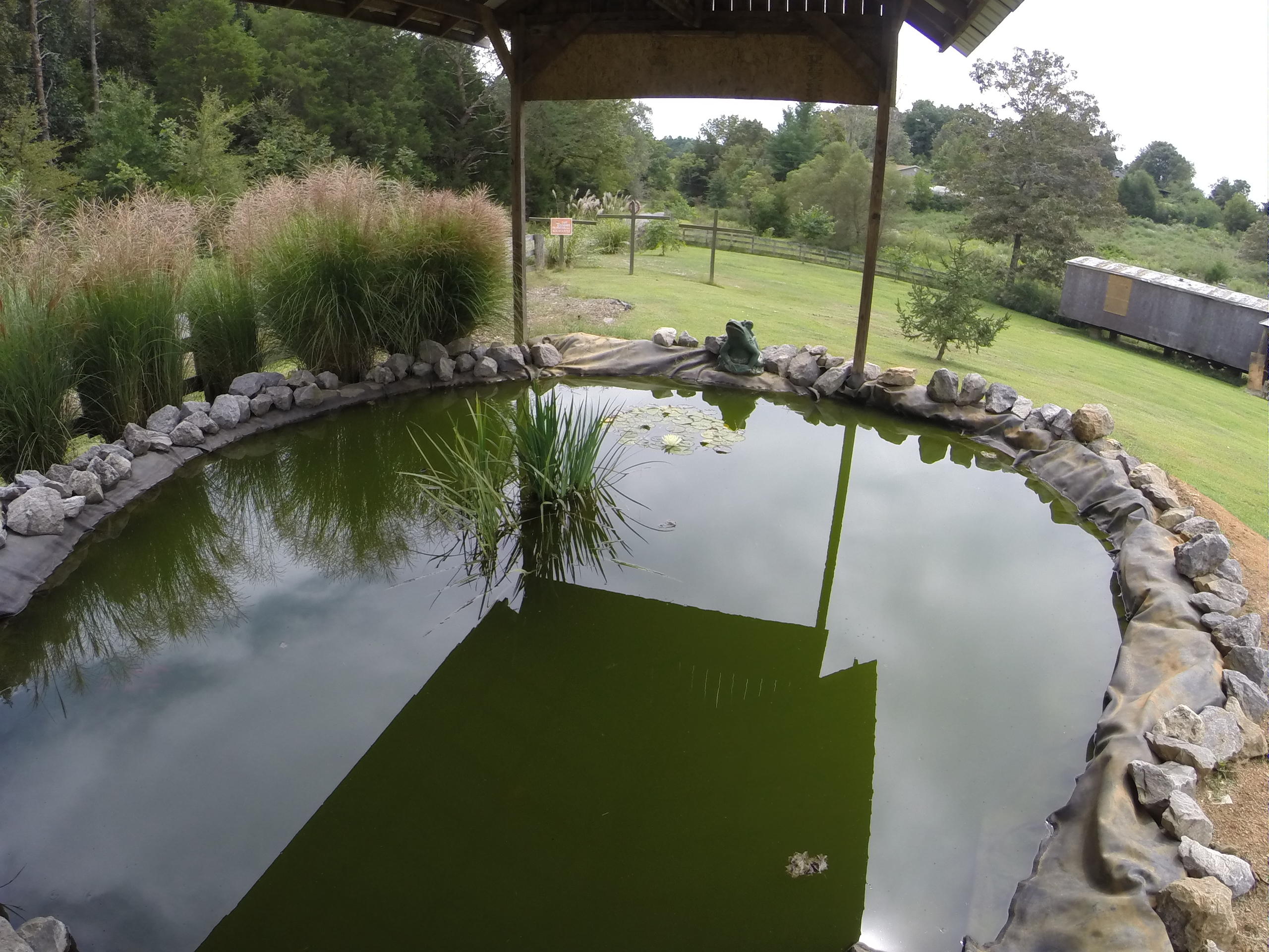 156 Little Gudger Road Madisonville, TN 37354 - Photo 8 of 40 GOPR0669