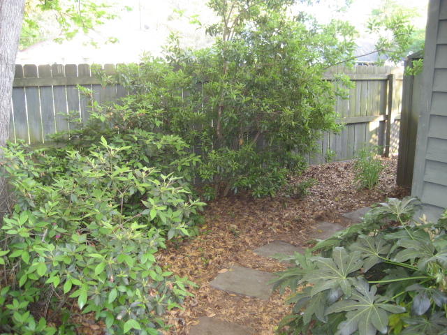 1262 Llewellyn Road Mount Pleasant, SC 29464 - Photo 26 of 31 IMG_4204