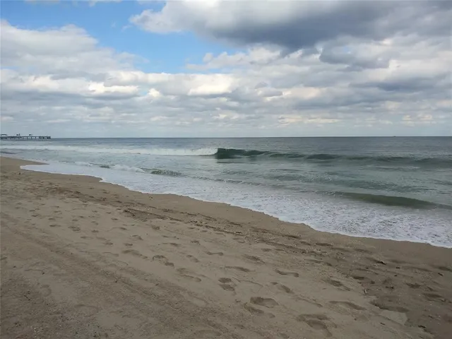 a view of park with trees