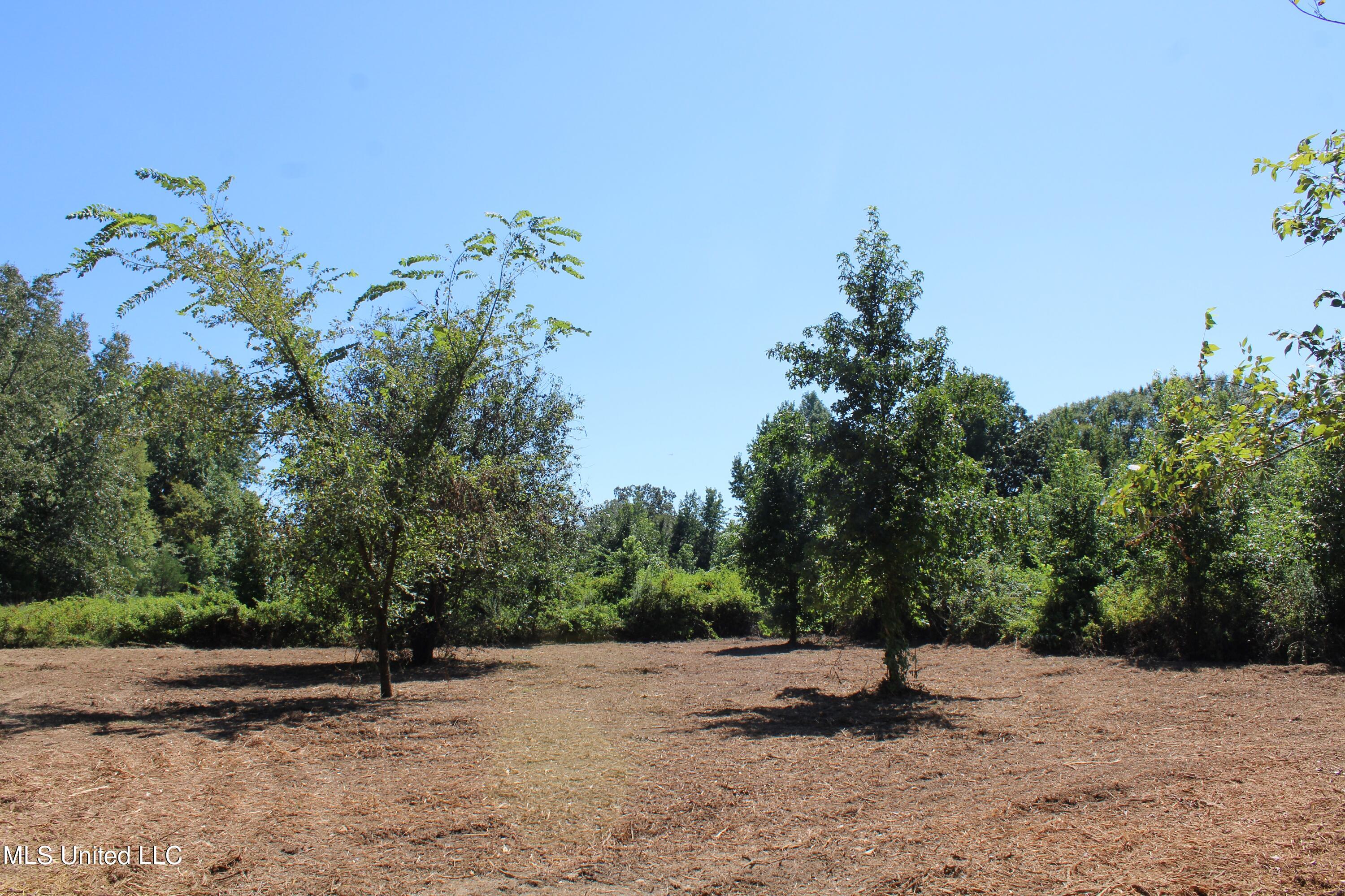 399 Echols Road Byhalia, MS 38611 - Photo 11 of 16 IMG_2145