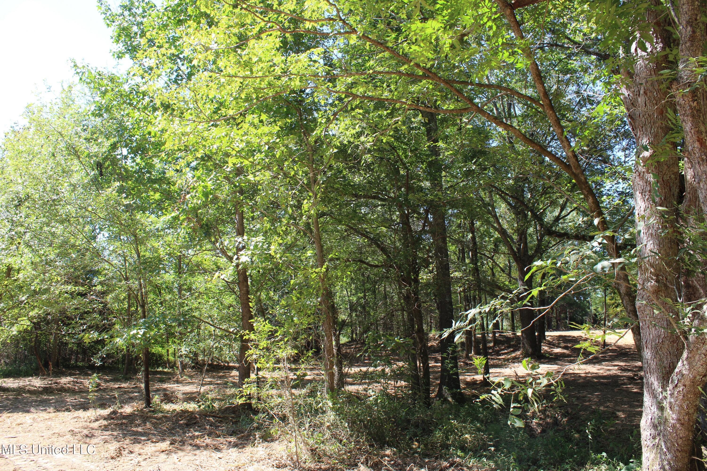 399 Echols Road Byhalia, MS 38611 - Photo 14 of 16 IMG_2148