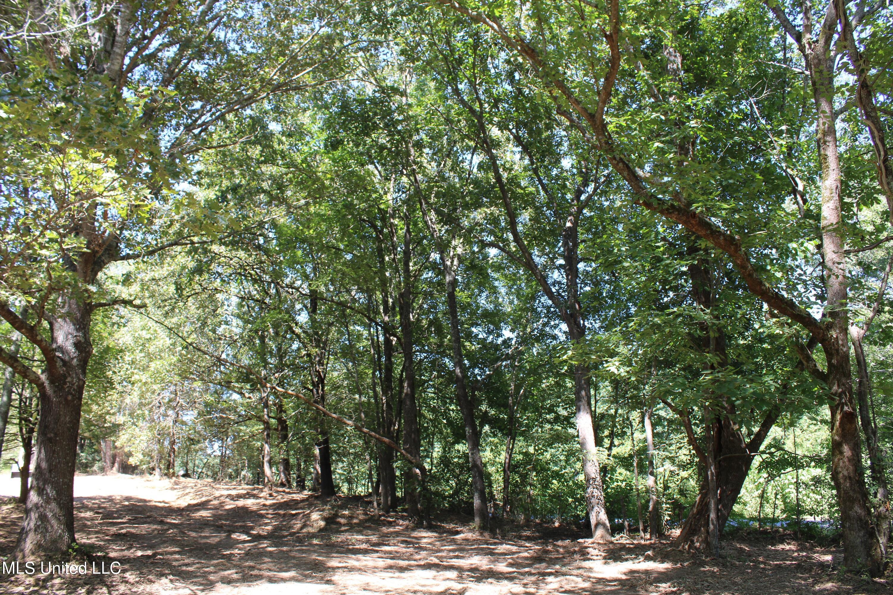 399 Echols Road Byhalia, MS 38611 - Photo 16 of 16 IMG_2150