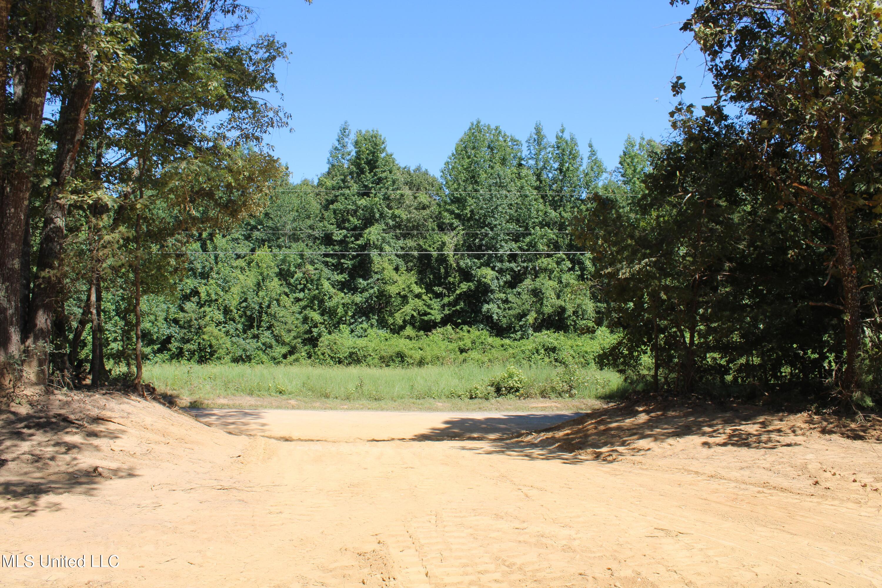 399 Echols Road Byhalia, MS 38611 - Photo 5 of 16 IMG_2138
