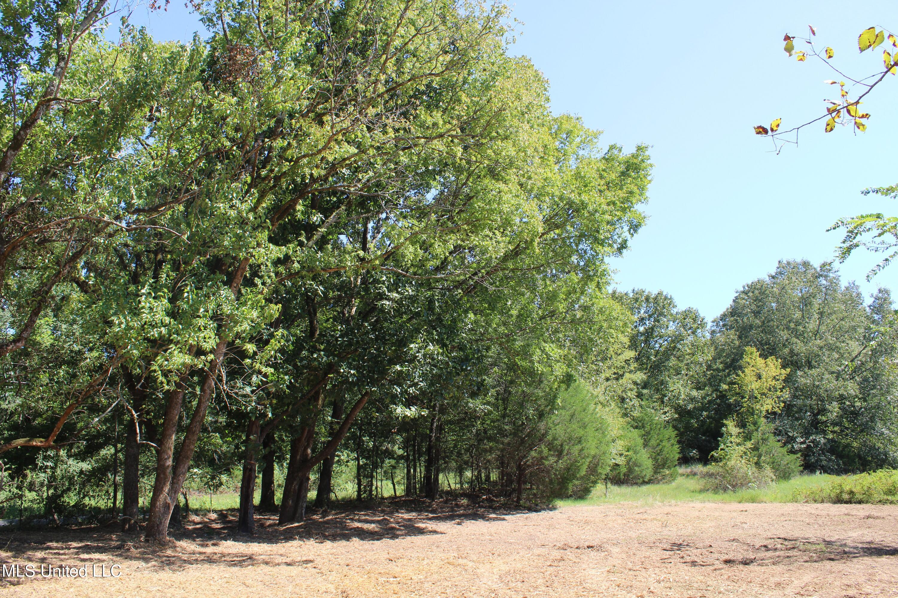 399 Echols Road Byhalia, MS 38611 - Photo 10 of 16 IMG_2144