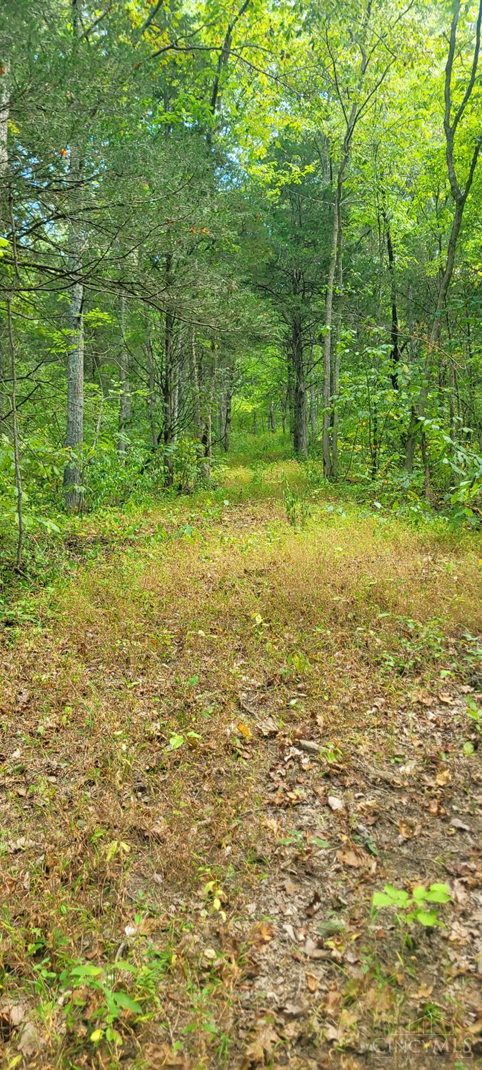 5.08-ac Bear Creek Road Felicity, OH 45120 - Photo 5 of 10