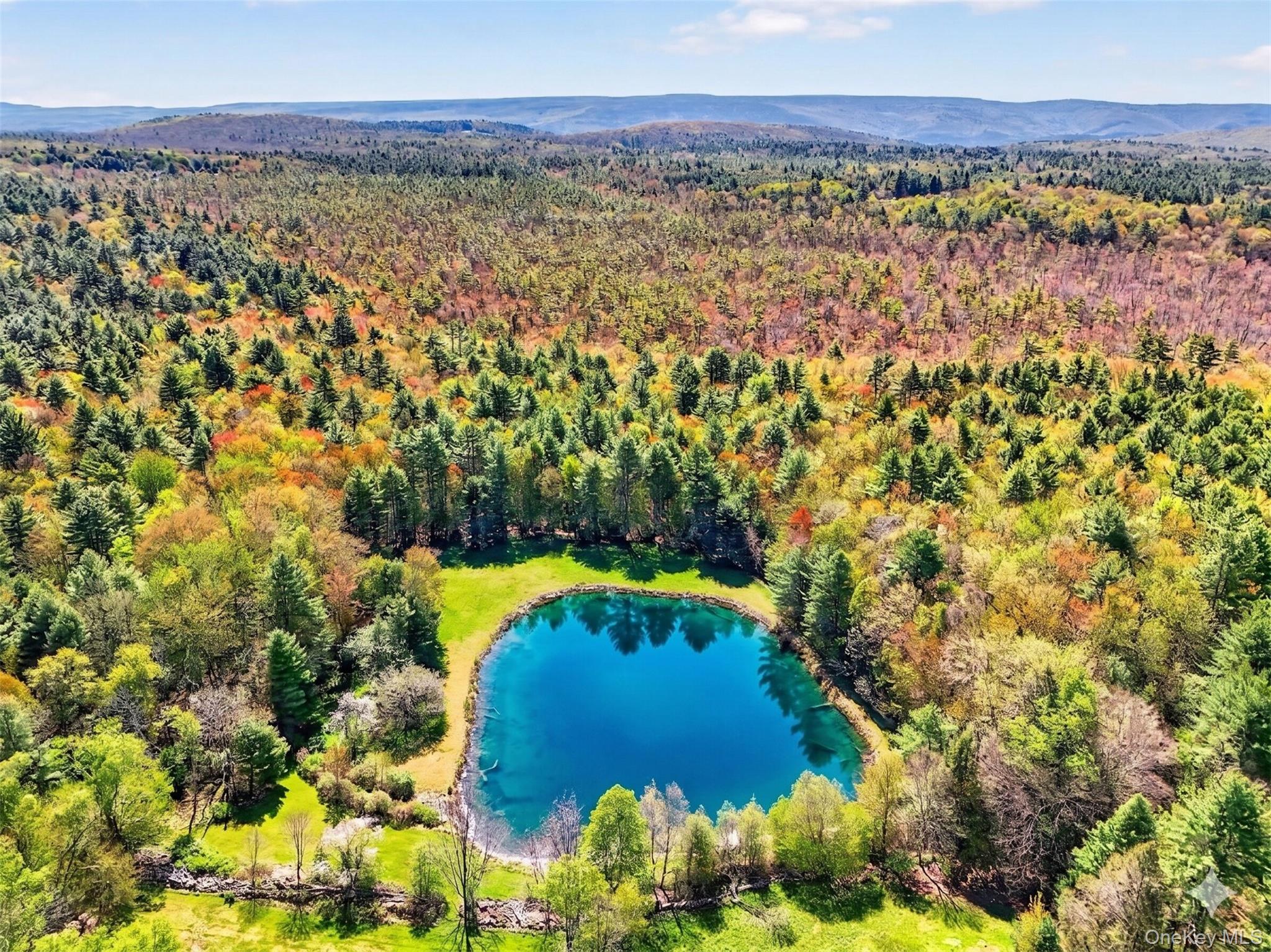 70 Spook Hole Road Ellenville, NY 12428 - Photo 1 of 8 a view of a yard