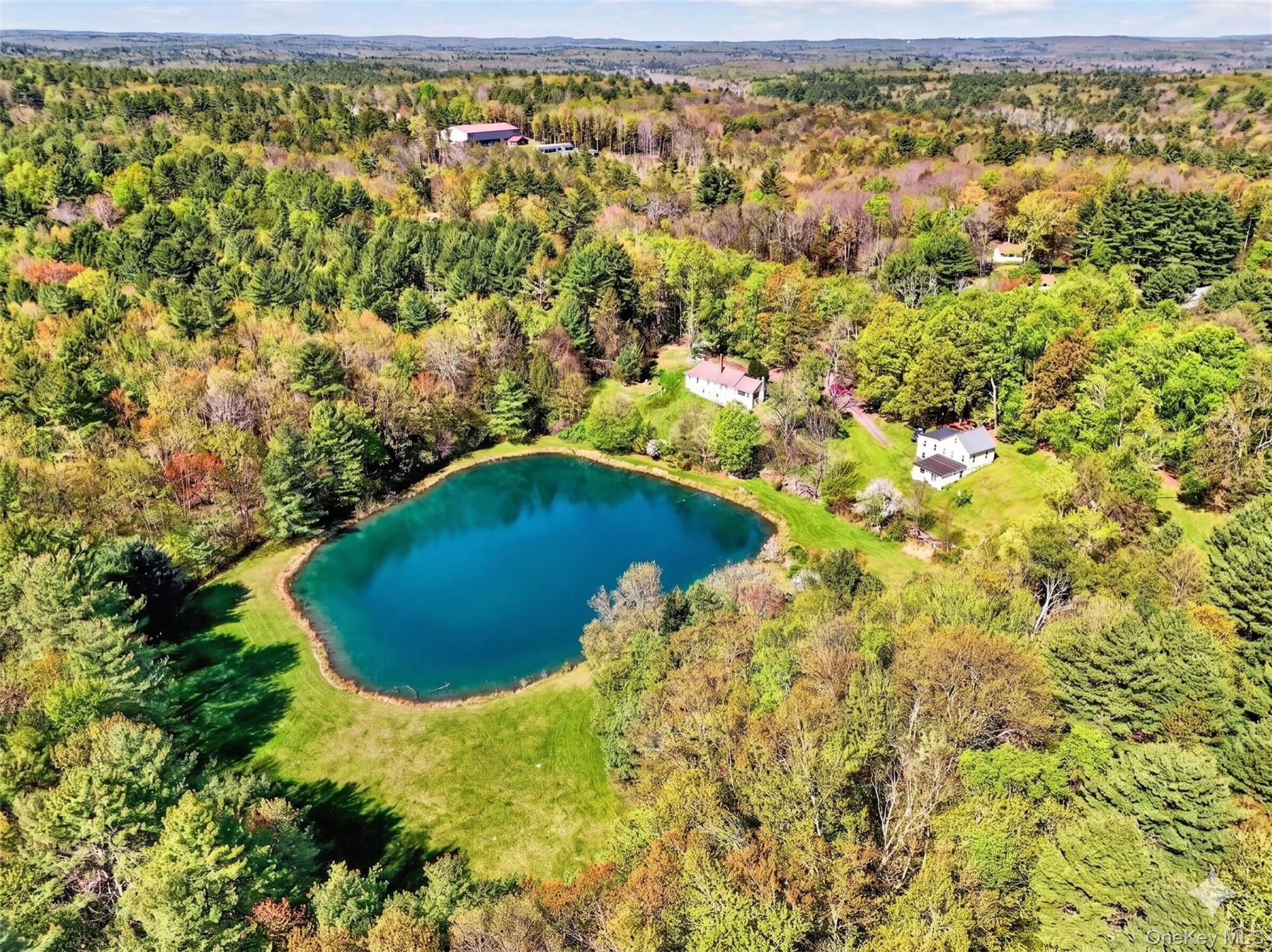70 Spook Hole Road Ellenville, NY 12428 - Photo 3 of 8 a view of a swimming pool with a yard