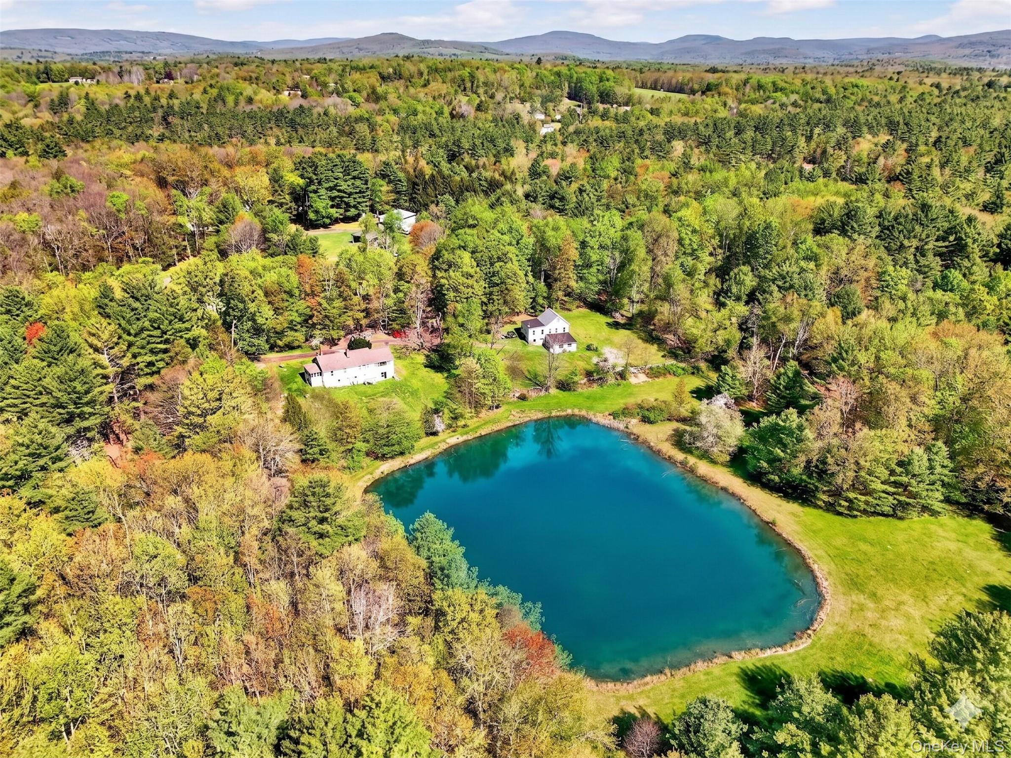70 Spook Hole Road Ellenville, NY 12428 - Photo 6 of 8 a view of a swimming pool with a yard