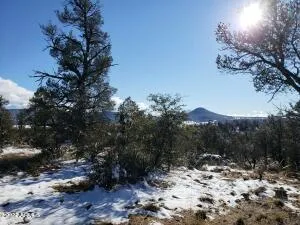 $170,000 | 4-r-5 North Ike Clark Parkway, Unit 5, Young, AZ 85554