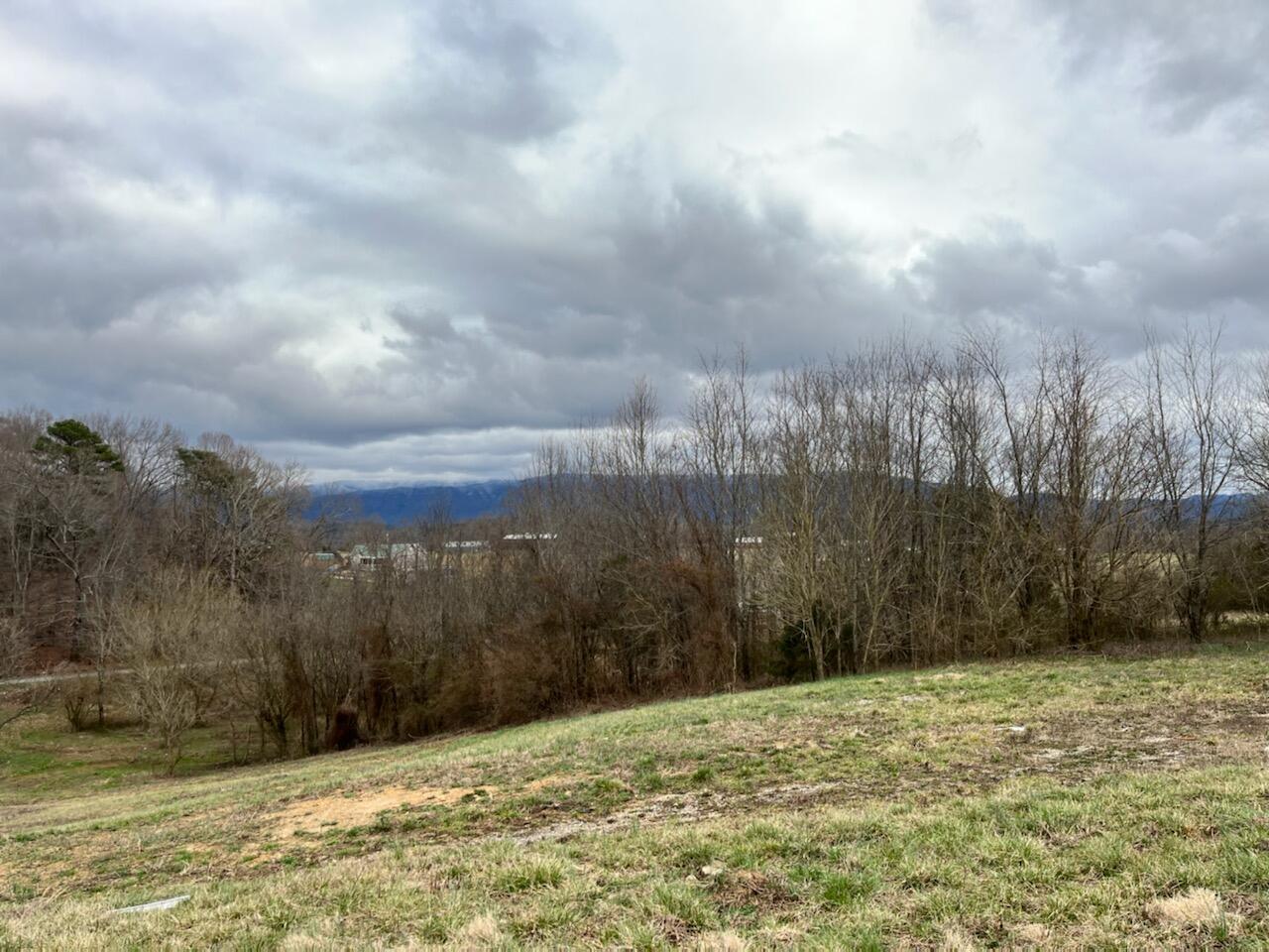 1450 Sunnyside Road, Unit 10 Greeneville, TN 37743 - Photo 1 of 6 IMG_1555