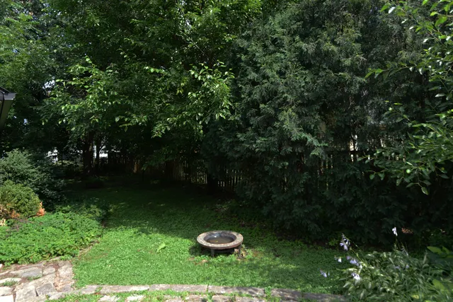 a view of a backyard